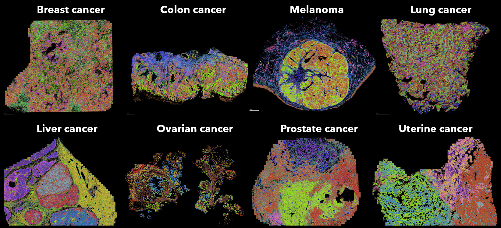 FFPE data image collage