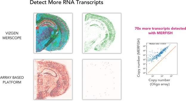 Figure 2 Brain Data