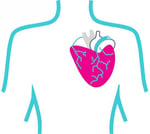 Human Cardio Human Cardio