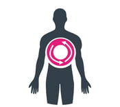 Human Metabolic v2 Human Metabolic v2