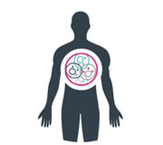 Human Tumor Human Tumor
