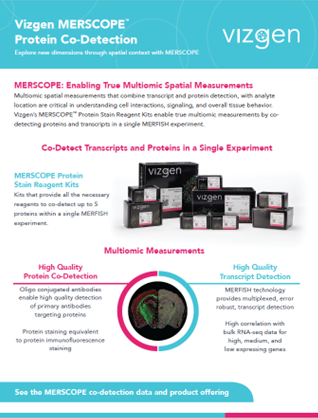 MERSCOPE Co-detection Flyer