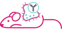 Mouse ImmunoOncology Mouse ImmunoOncology