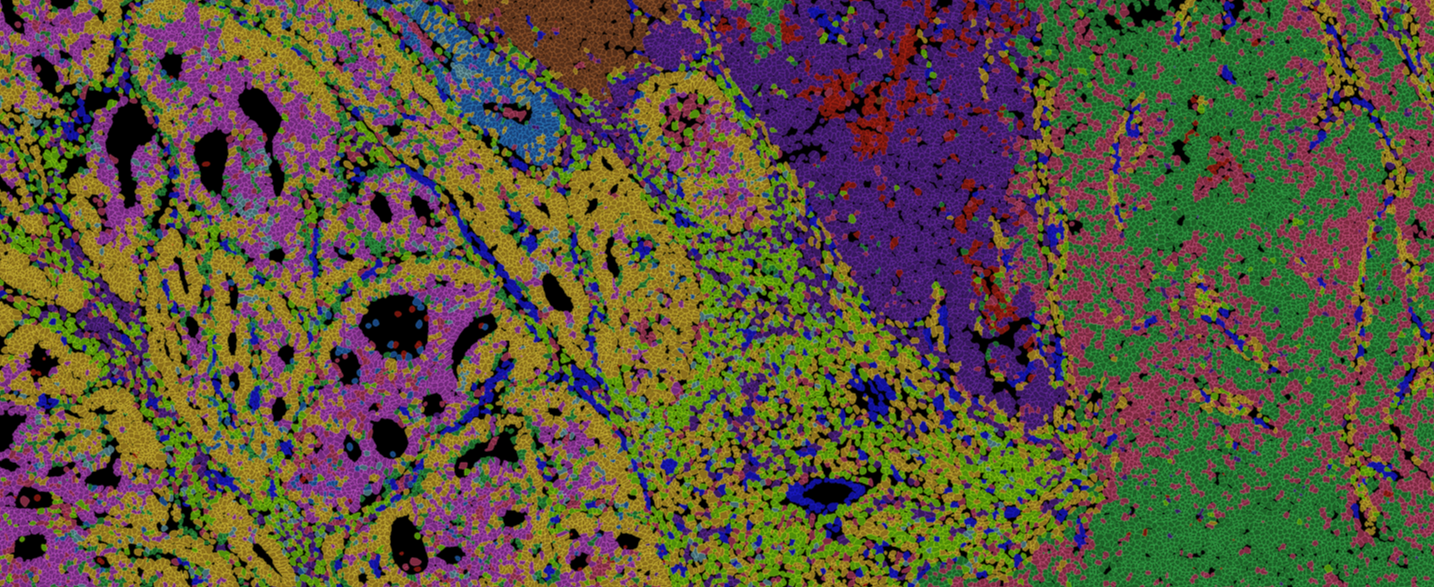 merscope data image-1