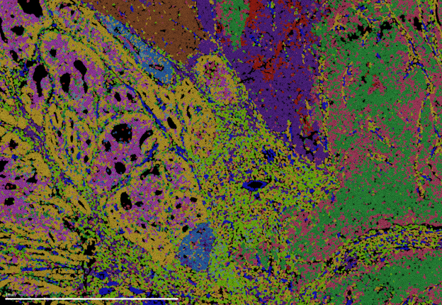 merscope data image