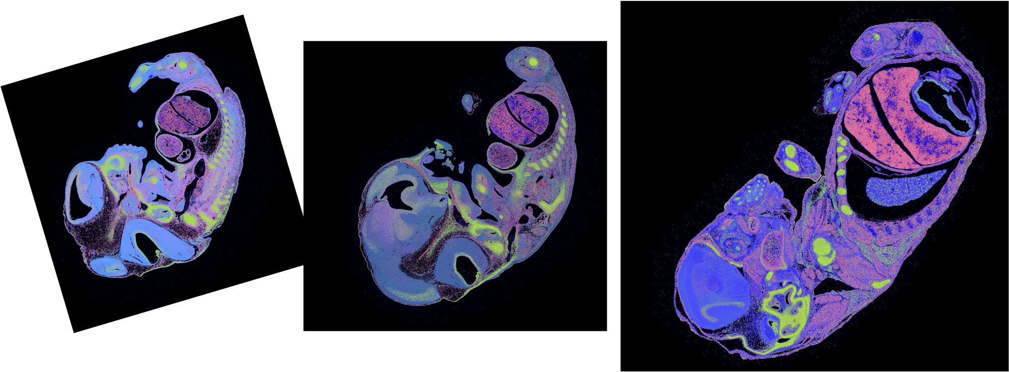 space 2