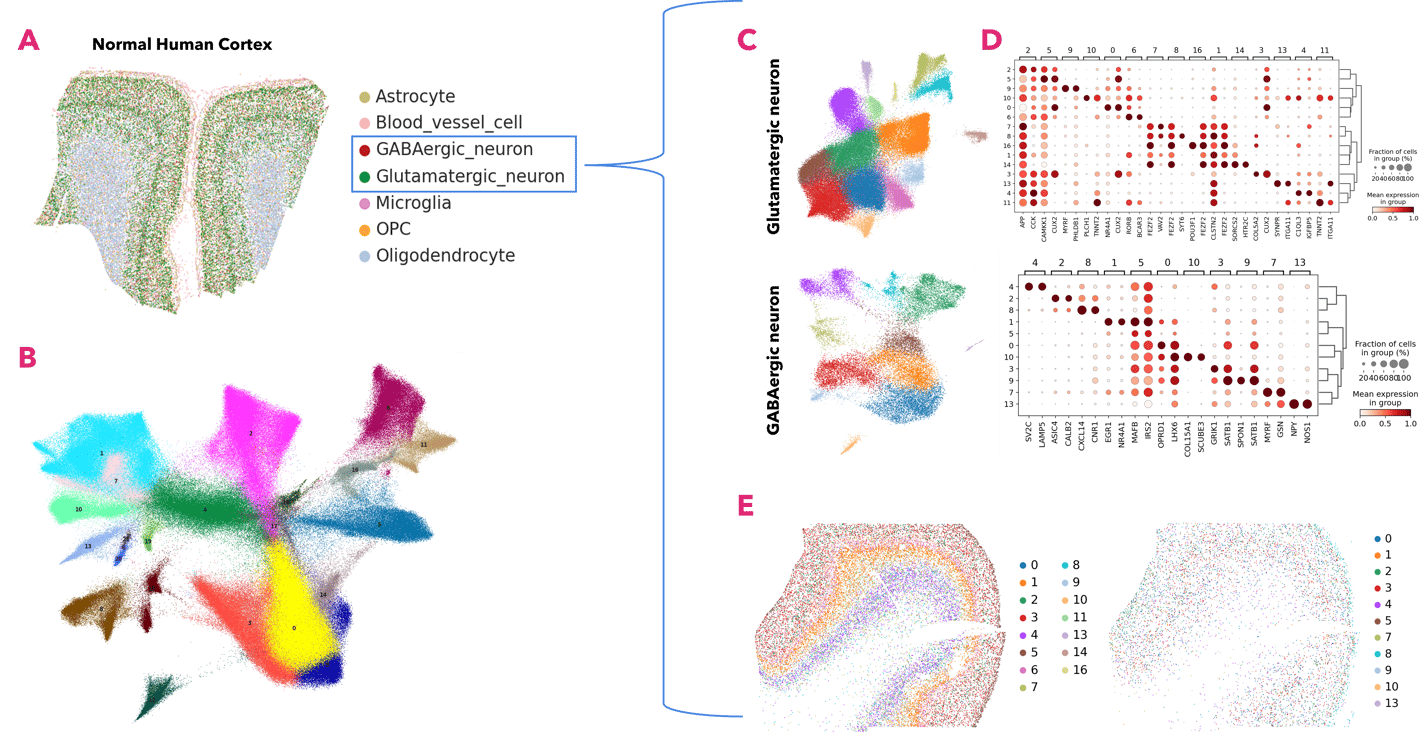 updated figure 6